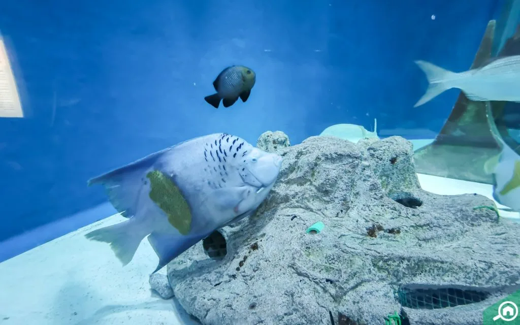 Sharjah Aquarium