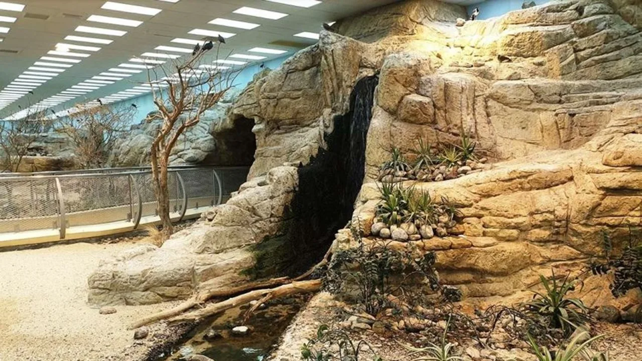 Sharjah Desert Park